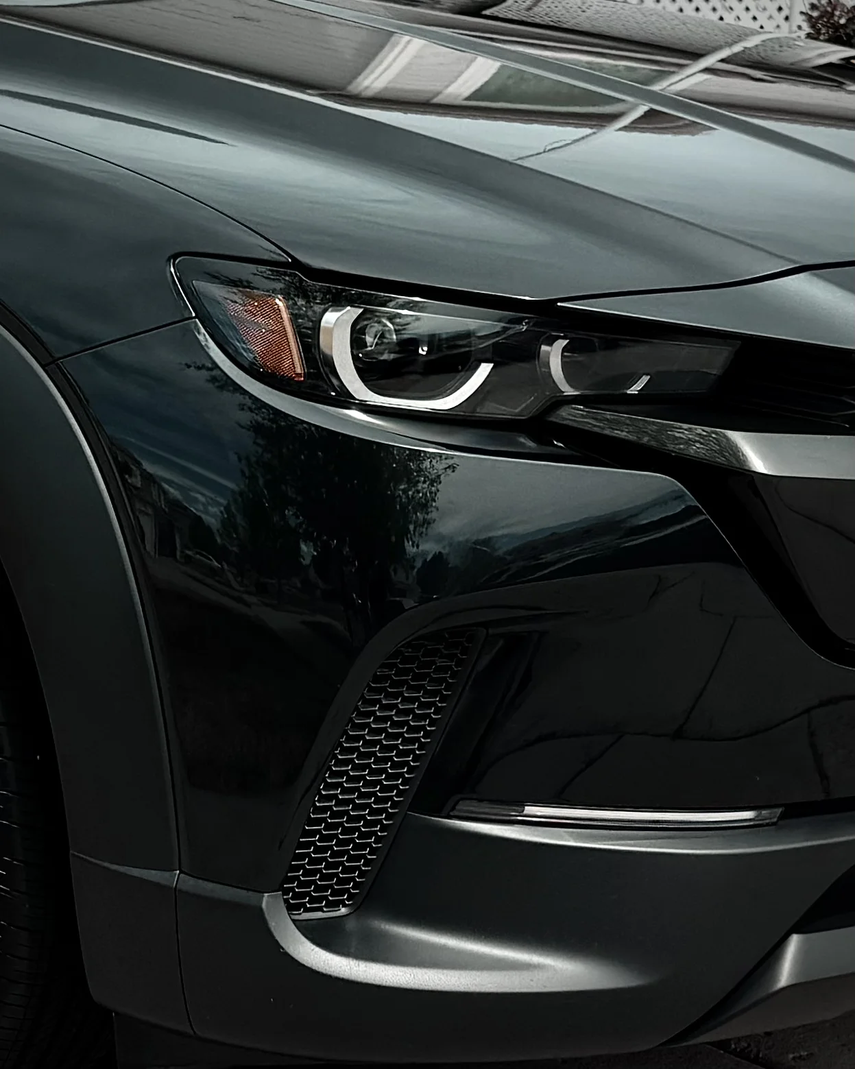 Recent detailing result photo 11