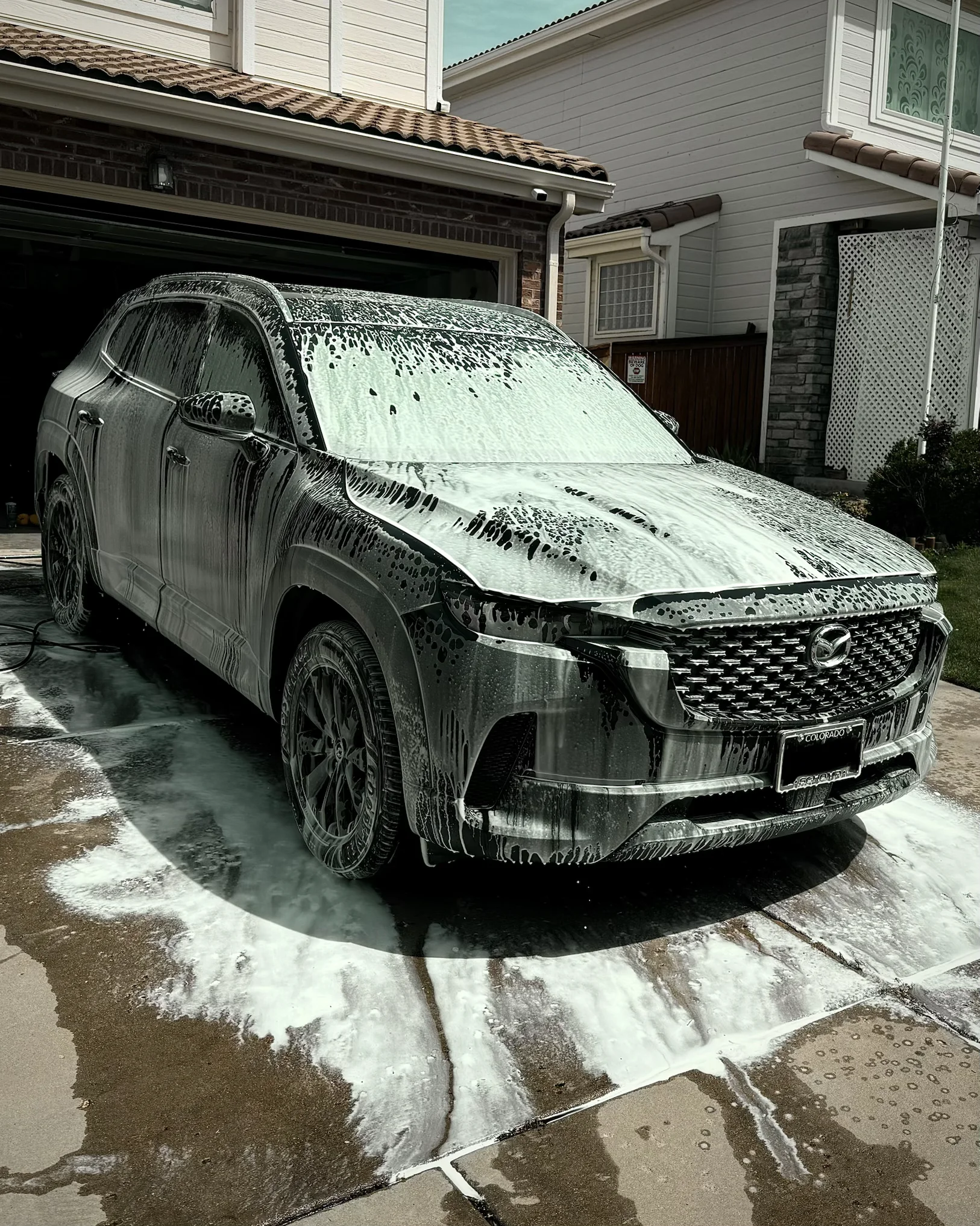 Recent detailing result photo 2