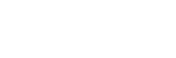 System X logo